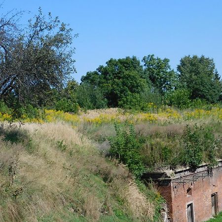 Luneta Warszawska Krasków Eksteriør bilde
